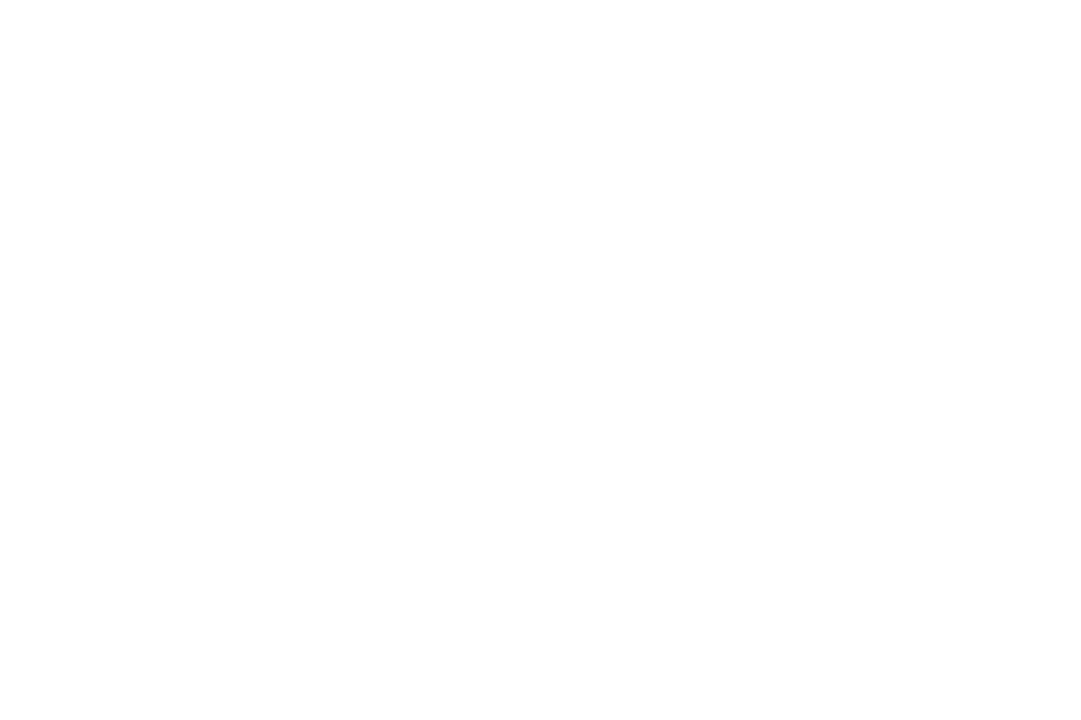 Rise Media clients - FI Real Estate Management logo