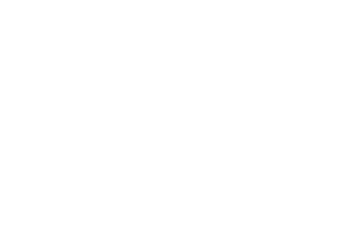 Rise Media clients - Langham Homes logo
