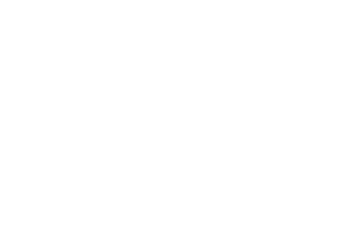 Rise Media clients - St George logo