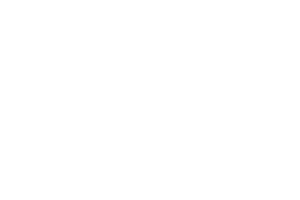 Rise Media clients - Bose logo