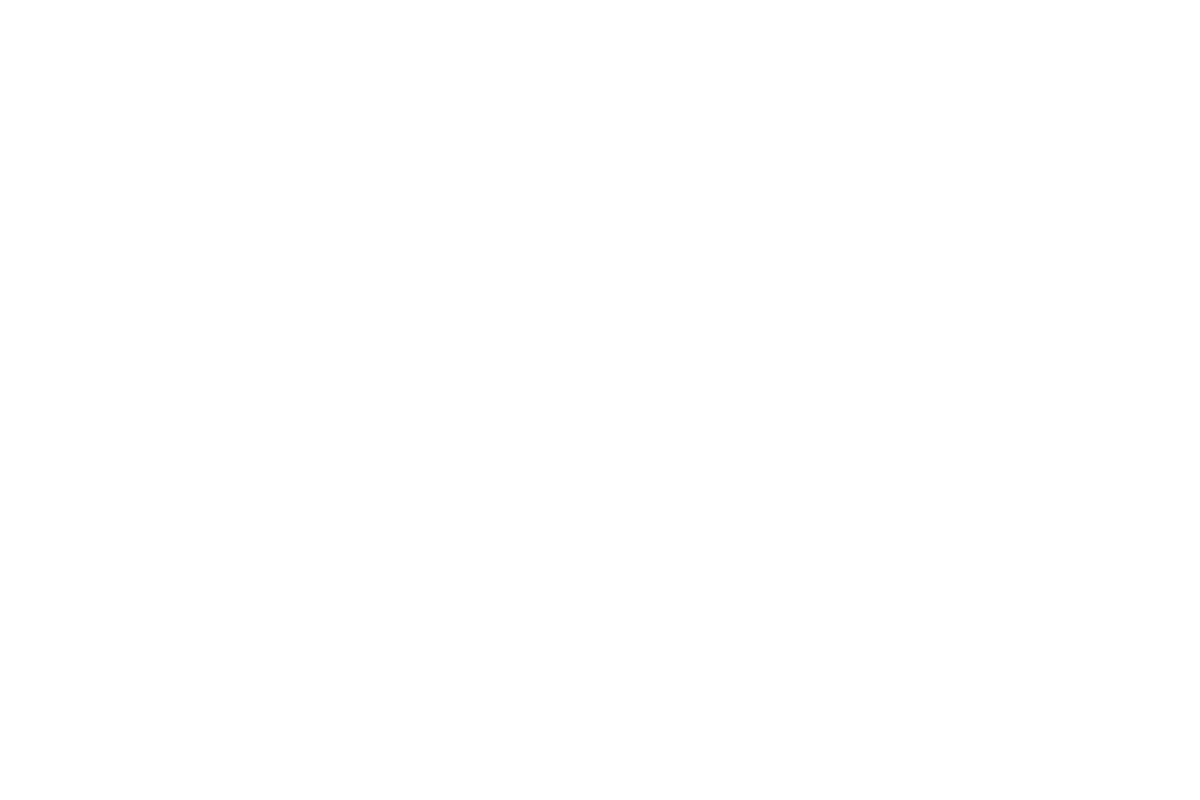 Rise Media clients - Dr Martens logo