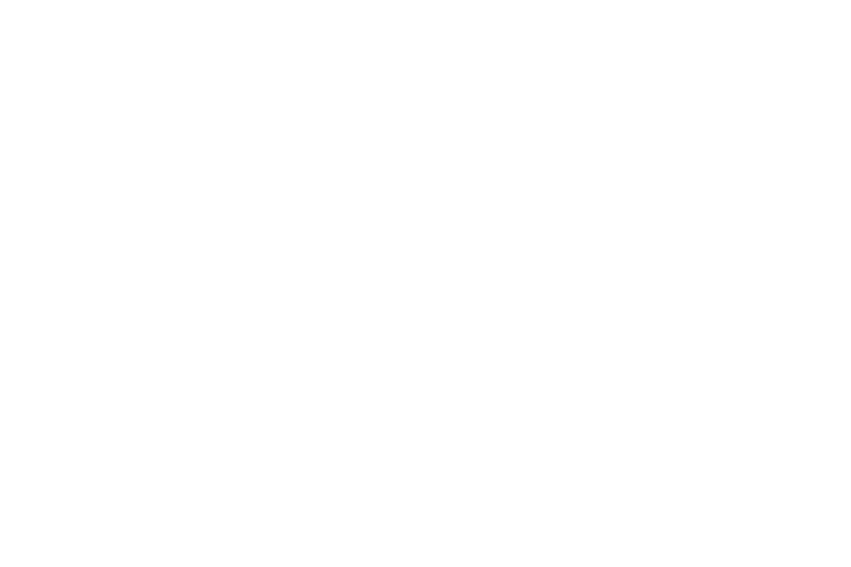 Rise Media clients - RayBan logo