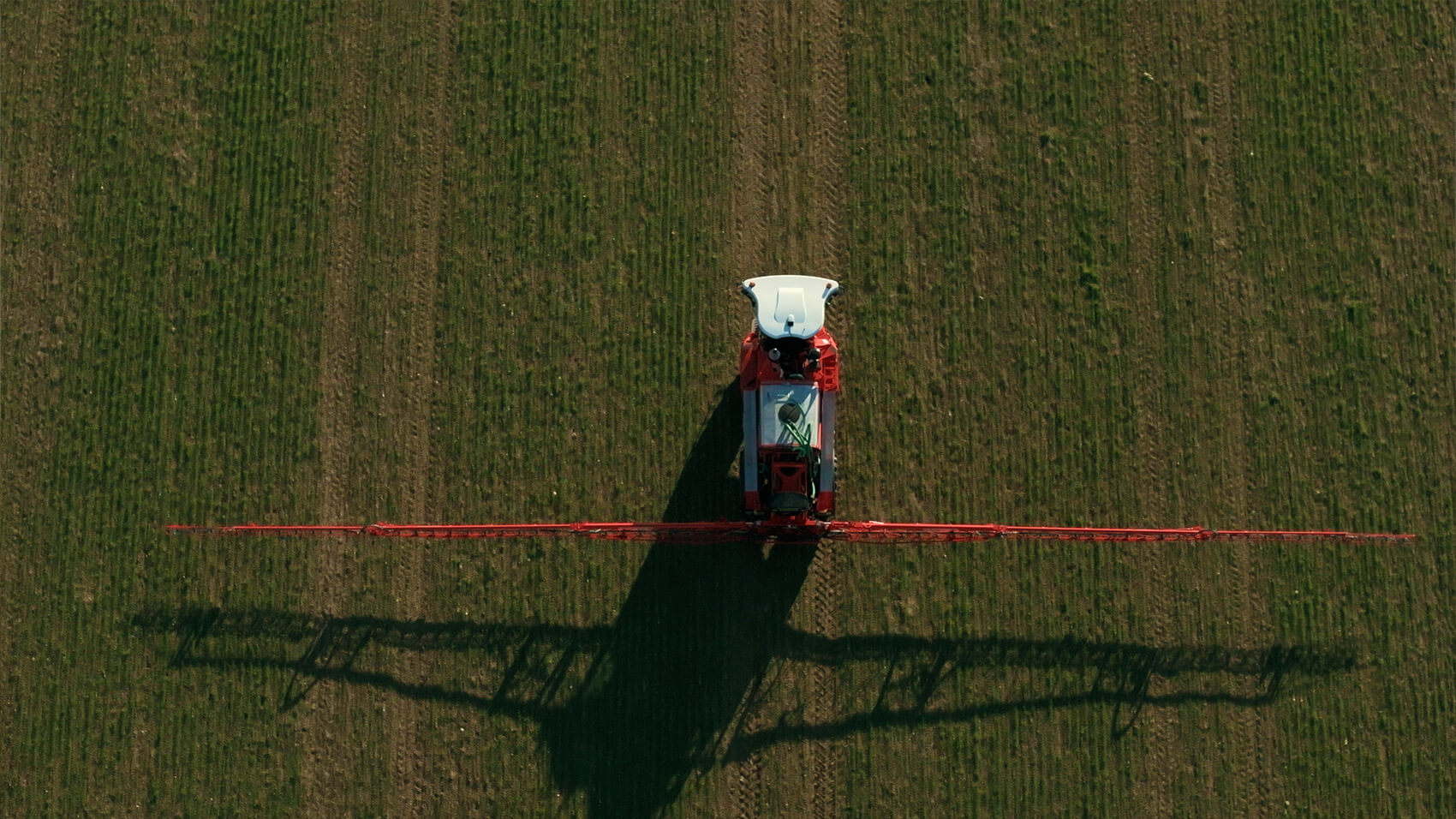 Still image from a BBC Storyworks video project, titled Blue Horizons, by Rise Media.