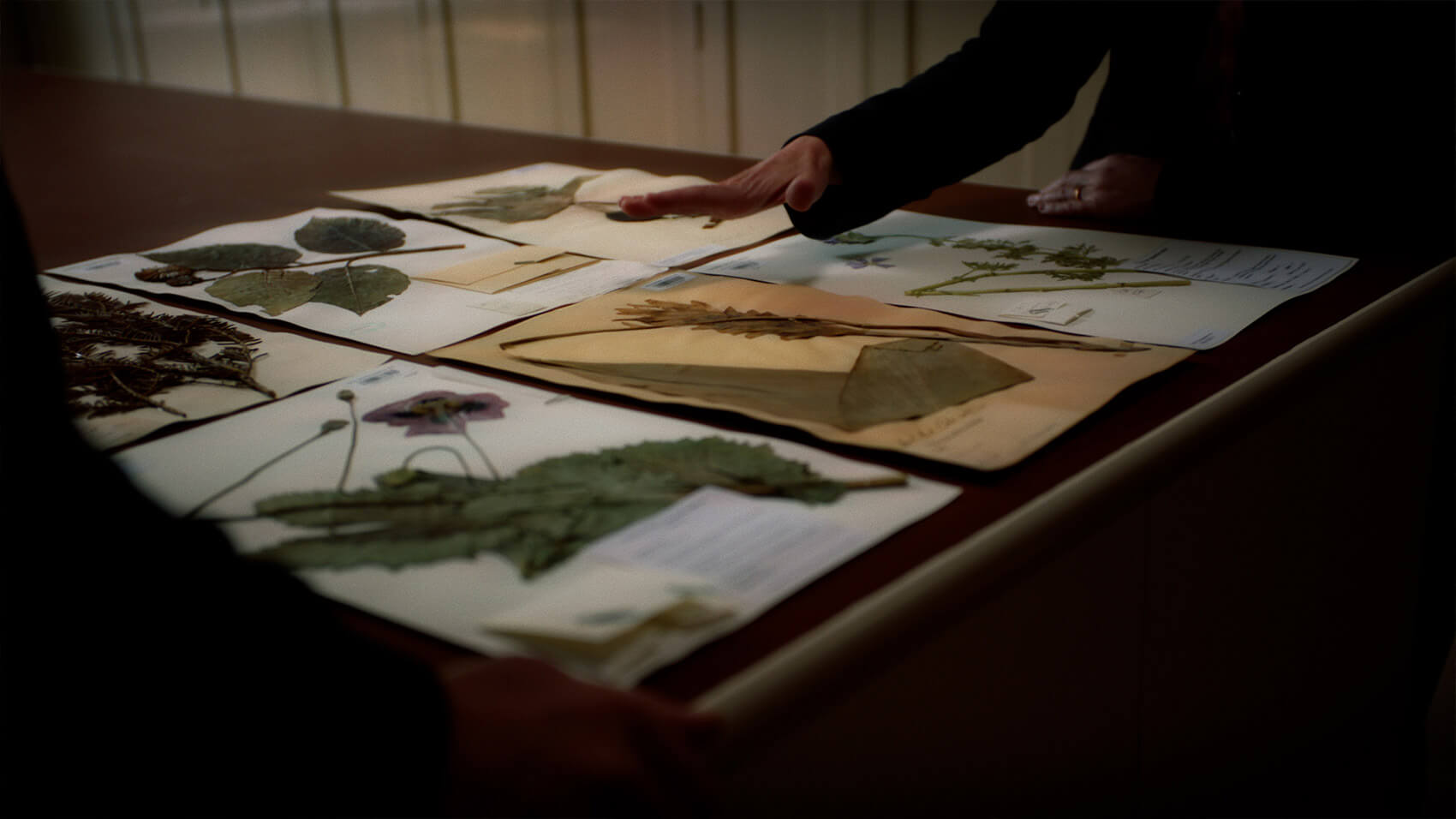 Artists at work at Kew Gardens.