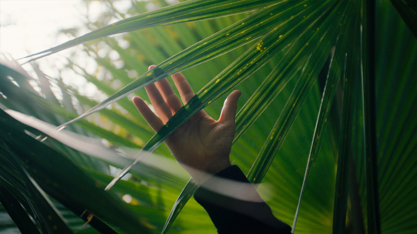 A hand reaching for a leaf in the greenhouse at Kew Gardens.